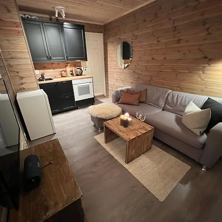 Apartment Cosy At Fossheim Ulsak